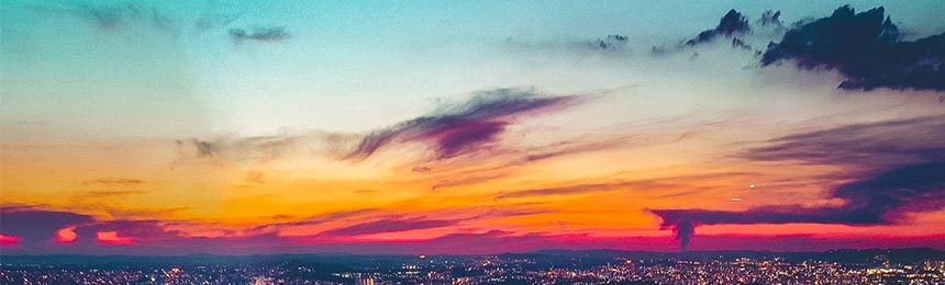 日照茶虫网_日照品茶